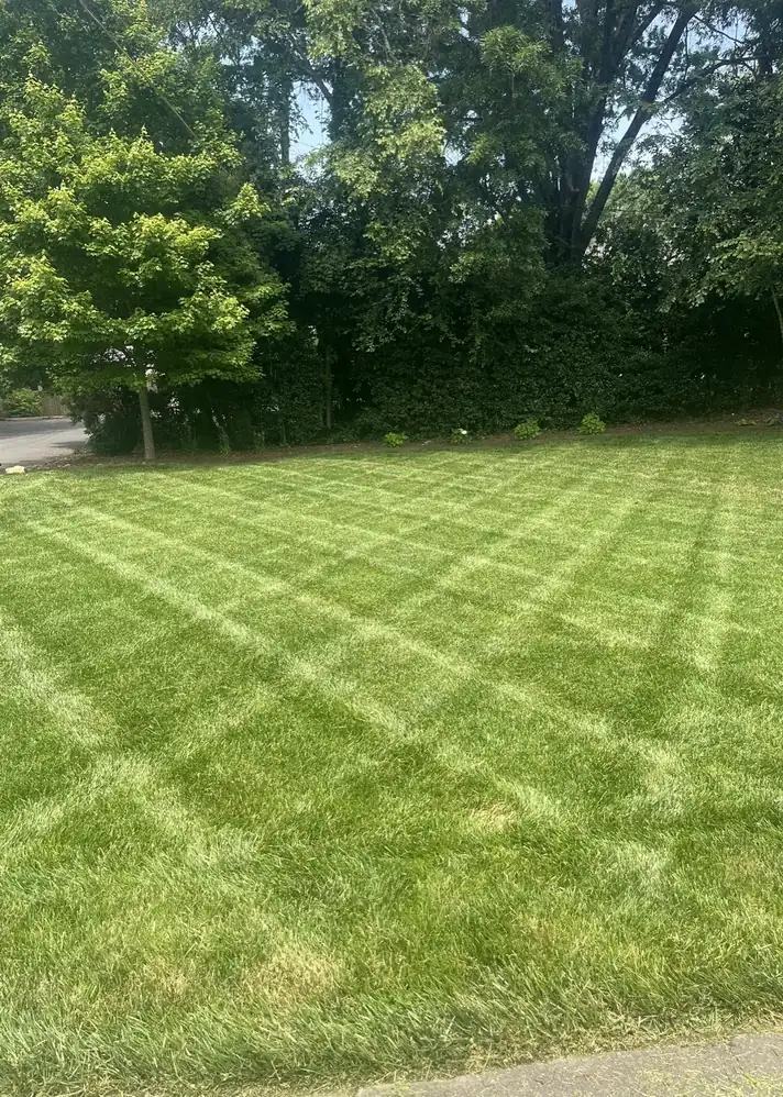 Lawn mowing diagonal stripes