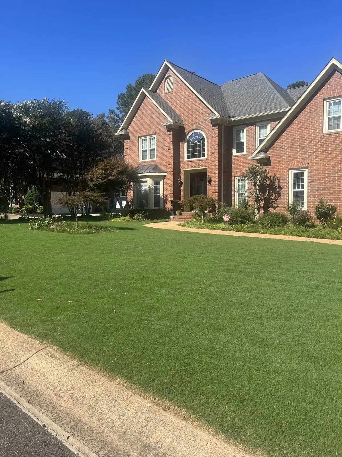 High Southern Scapes team